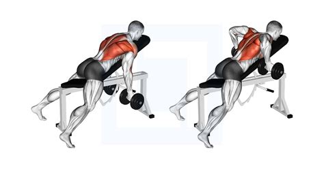 Inverted Row - Guide, Benefits, and Form