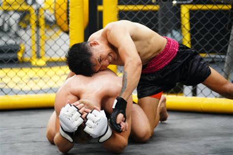 30+ Mma Face Kick Stock Photos, Pictures & Royalty-Free Images - iStock