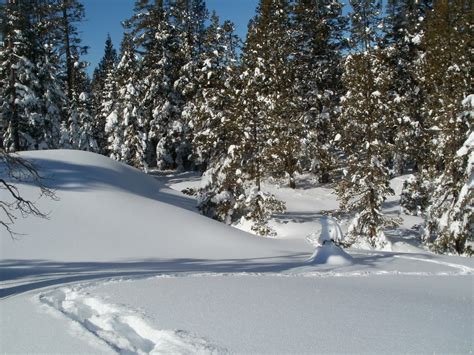 The Traveling Backpackers II: Snowshoeing at Donner Pass