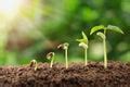 plant  persons hand  stock photo public domain pictures