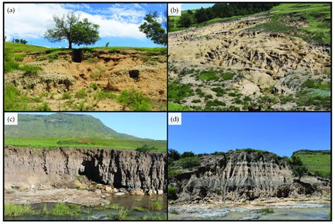 Gully erosion in the upper Mkhomazi River basin: (a,b) examples of type ...