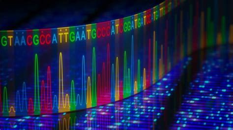 Equipment Applications for DNA Sequencing and PCR | tec5USA