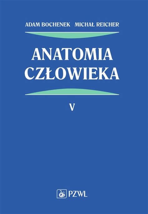 Anatomia Cz Owieka Bochenek Tom Niska Cena Na Allegro Pl