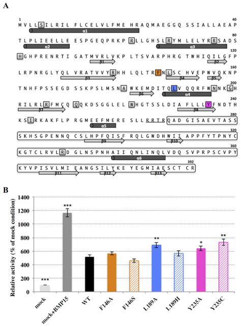 Functional Analysis Of Amino Acids Under Positive Selection In Human