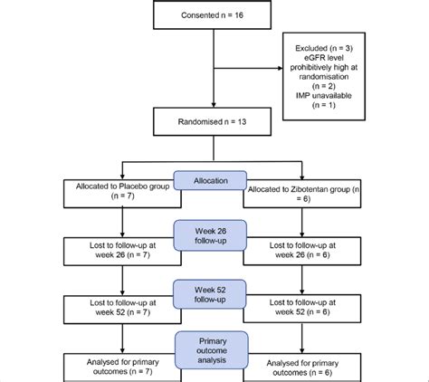 Consort Diagram Showing Flow Of Patients Through The Zebra 1 Sub Study