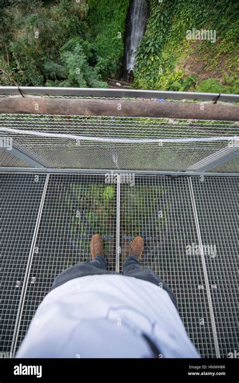 Lookout Platform Rainforest Biome Eden Project Stock Photo Alamy