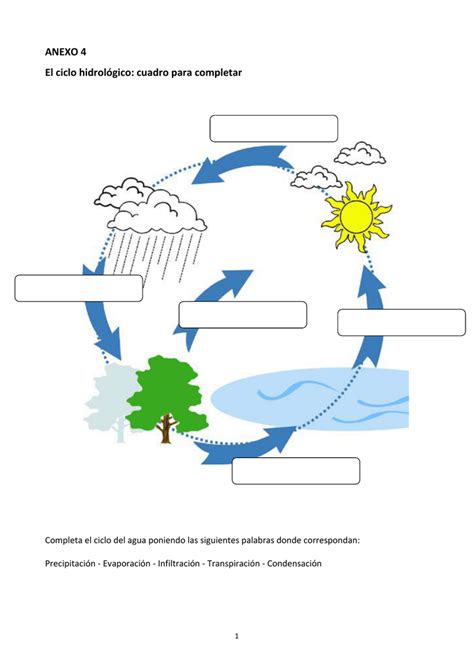 Ciclo Da Água Para Completar - ANEXO 4 El ciclo hidrológico: cuadro para completar