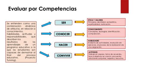 Evaluaci N Por Competencias Tipos Y Ejemplos The Best Porn Website