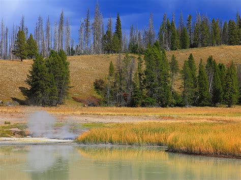 Img7420 Autumn Afternoon Yellowstone National Park Flickr