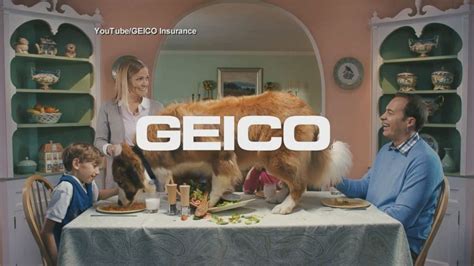 Video Geico Is Hoping You Won't Skip Its Online Ad - ABC News