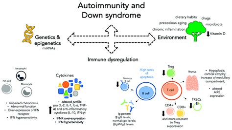 What Are Autoimmune Diseases How Do They Develop