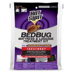 Hot Shot 1 Gal Ready To Use Bed Bug And Flea Killer Treatment With Egg