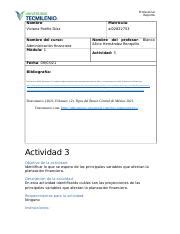 Actividad 3 AF docx Profesional Reporte Nombre Matrícula Viviana