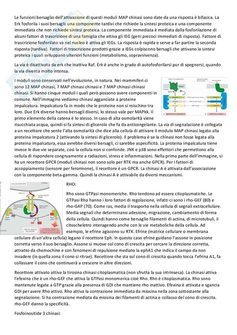 Biologia Cellulare Appunti