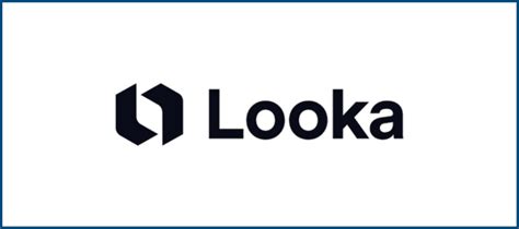 Looka Review The Good And Bad For