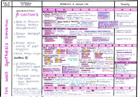 My Notes For Usmle Antibiotics Pharmacology Pharmacology Nursing