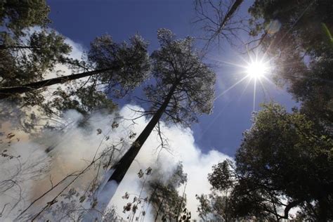 Activan Alerta Atmosf Rica En Tamazula Y Zapotl N El Grande Por Incendio