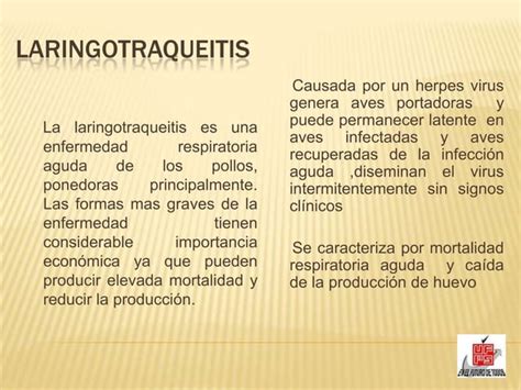 Laringotraqueitis Infecciosa Aviar Ppt