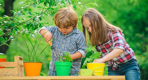 Little Seeds Workshop Arboretum Your Home And Garden Heavenarboretum