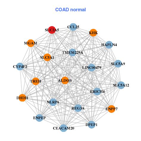 Cancer Cell Metabolism Database ~~ Bioinformatics and Systems Medicine Laboratory