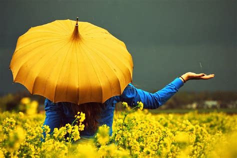 The Rain And My Yellow Umbrella