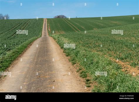 Intensive landwirtschaft Fotos und Bildmaterial in hoher Auflösung