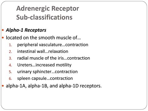 Solution Adrenergic Drugs Studypool