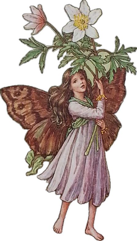 Flower Fairy Vintage Print 1930s Wind Flower Wood Anemone Cicely Mary