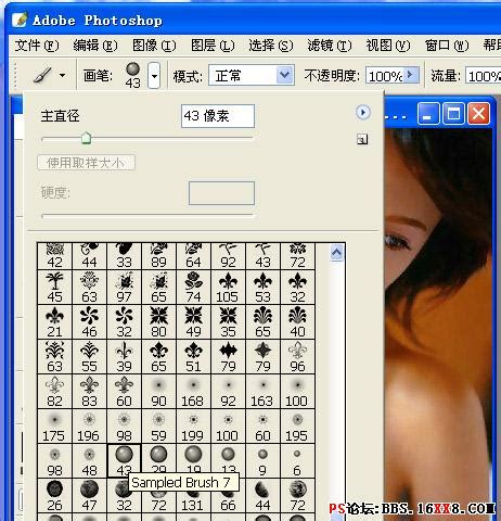 photoshop笔刷的安装与使用教程 - 工具教程 - PS教程自学网