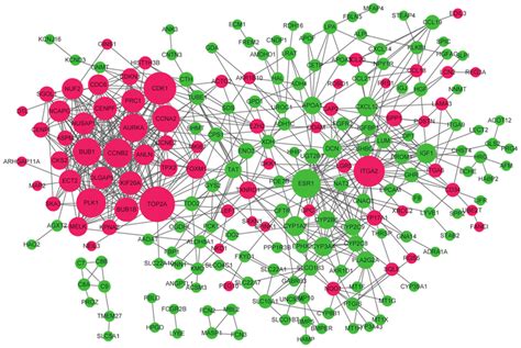 Protein Protein Interaction Network Of Degs Red Circles Represent