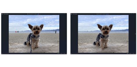 Microsoft Foto Per Windows 11 Si Aggiorna Con Rimozione Oggetti Con L