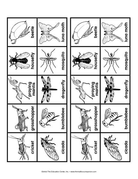 Insect Memory Game The Mailbox The Very Quiet Cricket Highlights