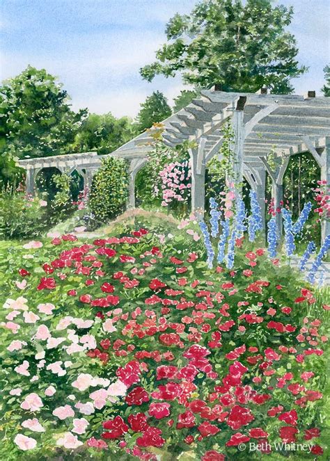 Arbor Garden Roses Coastal Maine Botanical Garden Watercolor Painting