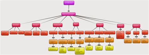 ORGANIZADORES VISUALES DIGITALES MÓDULO II ELABORACIÓN DE MAPAS