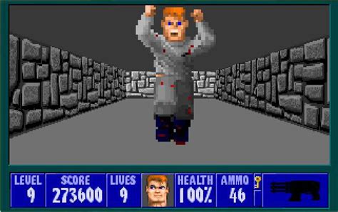 I Like To Imagine That A Version Of Wolfenstein Still Exists In The