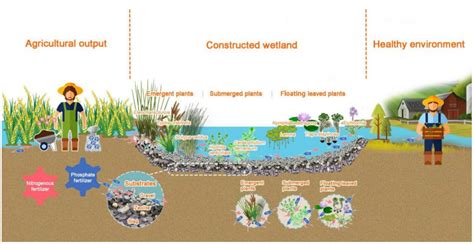 Agricultural Runoff