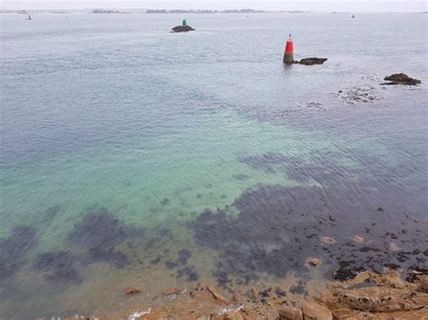 Château du Taureau Carantec 2020 Ce qu il faut savoir pour votre