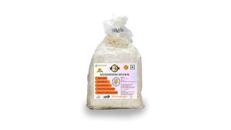 Misty Ranch Hydroponics Organic Mushrooms Oyster Mushroom Spawn And