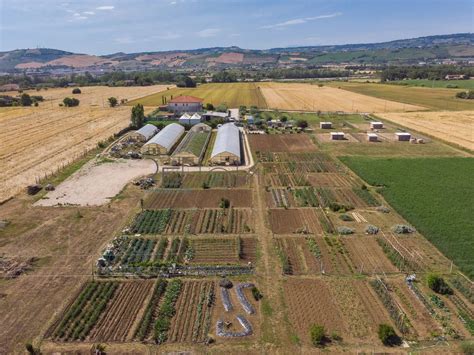 Azienda Agricola In Vendita A Roseto Degli In Piane Vomano Abruzzo