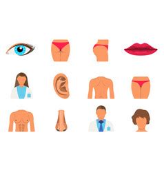 Nude Body Parts Female Vector Images 91