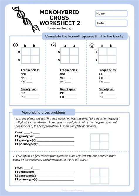 Genetics Worksheets And Printables