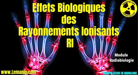 Effets Biologiques Des Rayonnements Ionisants Ri