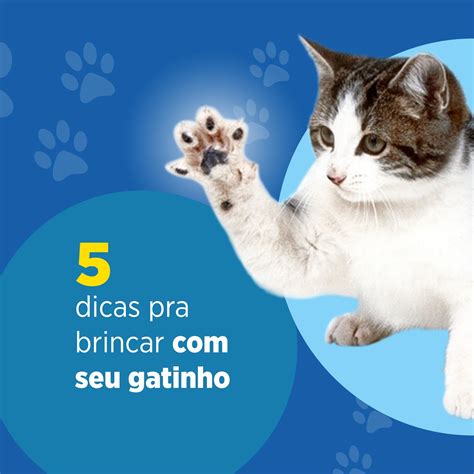 Dicas para reduzir os latidos dos cães Cão Cidadão