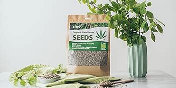 Loov Organic Raw Whole Hemp Seeds Kg Not Heat Treated All Nutrients