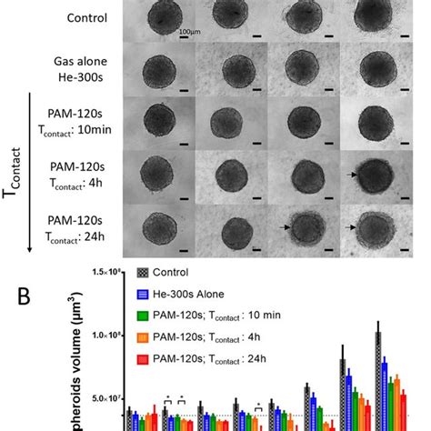 Pam Treatment Induced Loss Of Plasma Cell Integrity And Apoptosis A