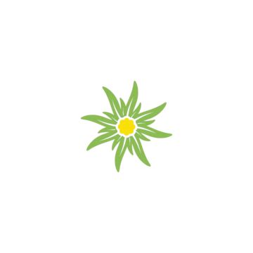 Edelweiss Icon Vector PNG Vector PSD And Clipart With Transparent