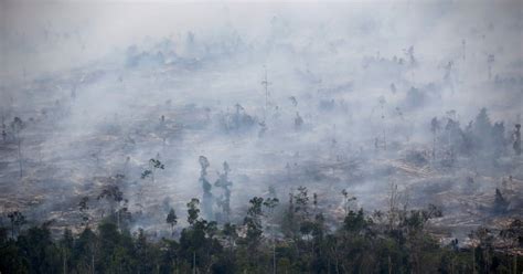 Indonesian President Orders Permanent Solution To Forest Fires New Straits Times