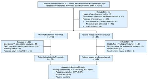 Flow Diagram Of Patient Selection Hcc Hepatocellular Carcinoma Ici