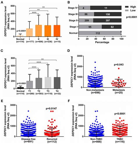 The Association Of Depdc With Advanced Stage Metastasis And