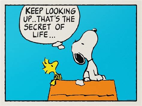 Peanuts Keep Looking Up Ikonick Motivational Canvas Wall Art Keep